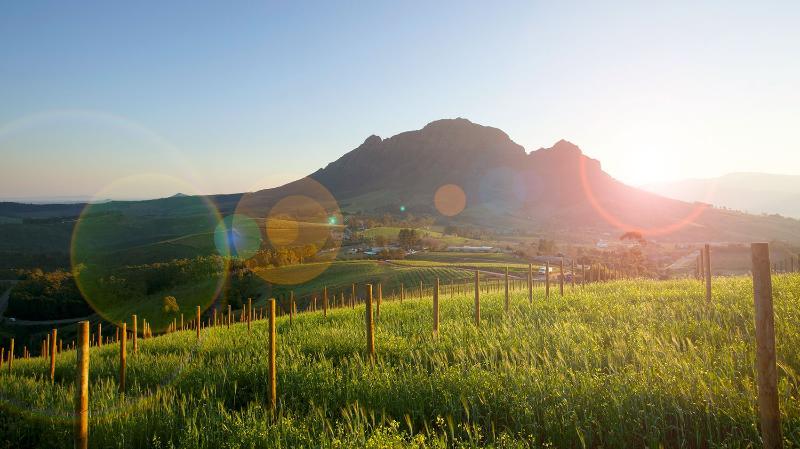 Delaire Graff Lodges And Spa Stellenbosch Luaran gambar